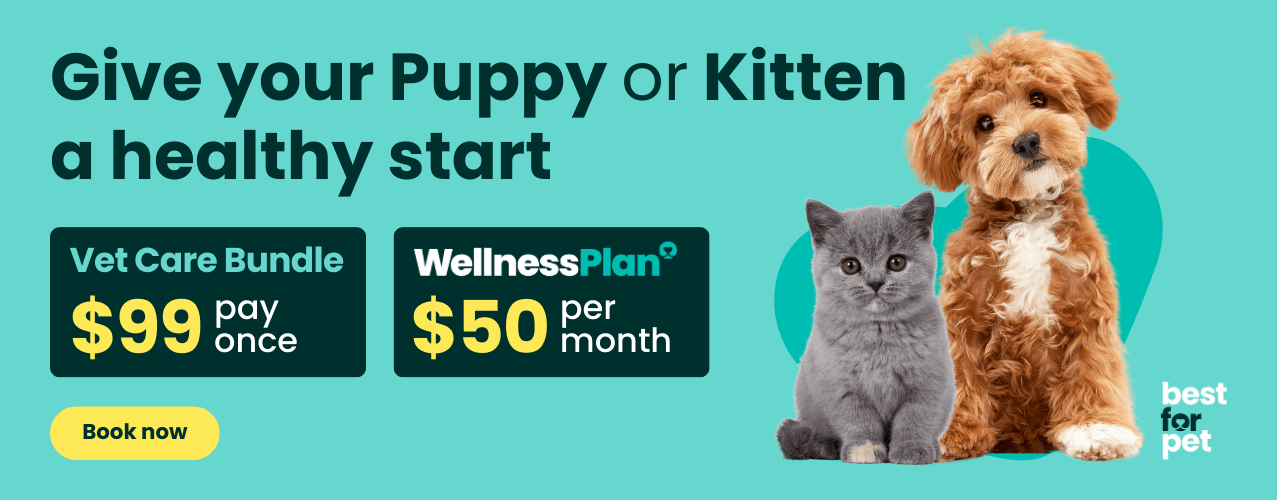 Best For Pet Puppy & Kitten Vet Care Bundle